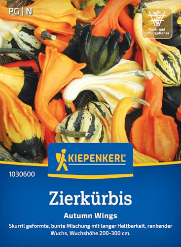 Kiepenkerl Zierkürbissamen Autumn Wings 1030600, Saatgut | Kürbisformen für kreative Dekoration, für Spaliere und Zäune, lang haltbare Kürbisse, Wuchshöhe 200-300 cm