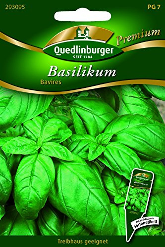 Basilikum Bavires - Ocimum basilicum QLB Premium Saatgut Basilikum