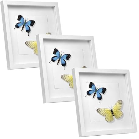 EUGAD 3D Bilderrahmen zum befüllen, 20x20 cm, Weiß, 1.5cm Tiefer | 3D Objektrahmen, Tiefer Rahmen für Wand- & Tischrahmen, Shadow Box für Fotos, Hochzeitsstrauß, DIY Kunstwerke