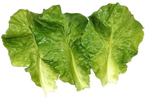 Skyseen 10Pcs Artificial Vegetable Lettuce Leaves Simulation Fake Lifelike for Home Party Kitchen Festival Decoration
