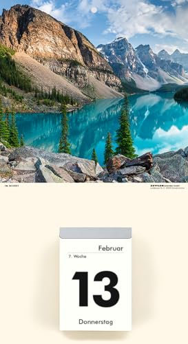 Zettler - Bildrückwände, 14,5x30cm, für Typ 301 und 302 Tiere sortiert