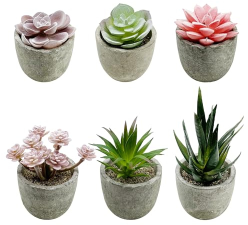 Cayway 6 PCS Artificial Succulents Plants, Mini Fake Plants in Pots, Small Succulents Plants Artificial for Office Desk Home Living Room Table Decor Indoor
