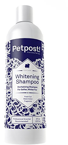 Petpost | Aufhellendes Schampoo für Hunde - Die Beste Behandlung für Hunde mit weißem Fell - Hundeshampoo mit Beruhigendem Wassermelonen-Geruch - 237 ml.