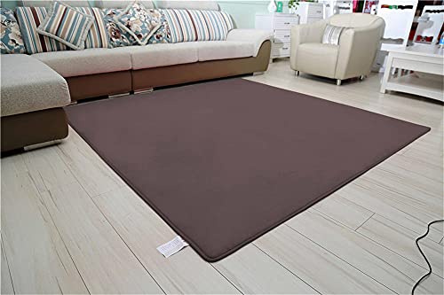 Alfombra de Terciopelo Coral Grueso de Color sólido Calidad Planta Marrón Suave Lavable Antideslizante Grande Rugs Rug Minimalista Moderna Sala De Estar Dormitorio Tatami Gateando Estera -120×140cm
