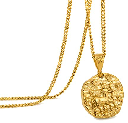 Speroto Collier zodiaque pour homme, en acier inoxydable avec pendentif en forme de 12 constellations, horoscope astrologie, Cadeaux de bijoux pour les femmes et les hommes(Sagittaire,or)