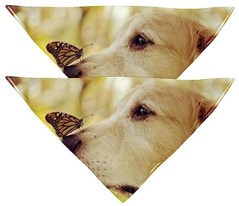 Hundehalstücher im 2er-Pack, dreieckiger Haustierschal, transparenter Chiffon-Stoff, Halstuch für kleine, mittelgroße und große Hunde und Katzen,Tierschmetterling und Golden Retriever