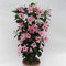 Semillas de Mandevilla Sanderi 100 Piezas – Planta Trepadora Perenne con Flores Aromáticas y Coloridas para Jardines, Terrazas y Macetas (Rosa)