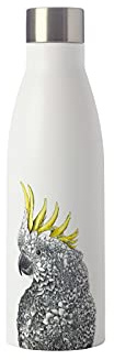 Maxwell & Williams Marini Ferlazzo Isolierte Edelstahl Trinkflasche mit Laughing Kookaburra Design, Doppelwandiger Edelstahl, Weiß, 500 ml, Auslaufsichere Isolierflasche