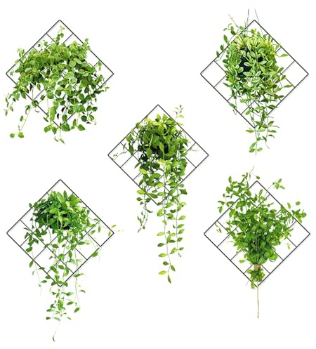 3D Plantes Stickers Muraux, 5pcs Plante Verte Autocollant Mural, Autocollant Muraux Feuille Vertes Adhésif, Plantes Suspendues Sticker Mural, Décoration Murale pour Salon Chambre Cuisine