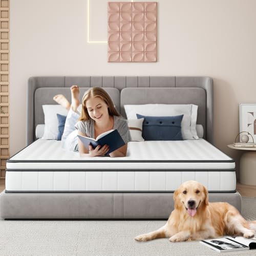 Matratze 140x200, Tonnentaschenfederkernmatratze, Federkernmatratze Höhe 25 cm Ergonomischer, Matratze für Kinder und Erwachsene, Federkernmatratze mit Komfortschaum, Rollmatratze Höhe 25cm