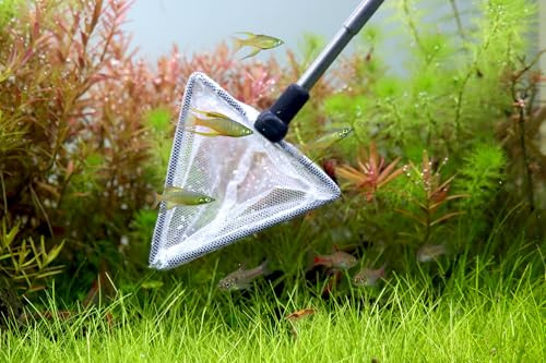 Natureholic Aquarium Kescher klein & weiß - Teleskop | Aquarium Zubehör Garnelenkescher aus rostfreiem Edelstahl | Kleiner Aquarienkescher für Garnelen, Schnecken & kleine Fische
