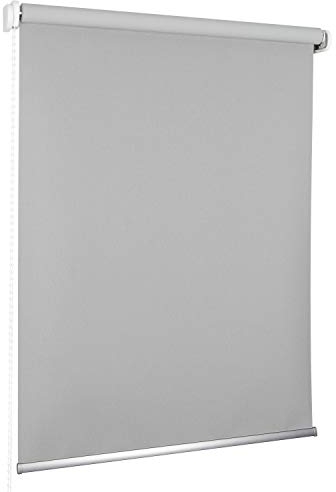 ROLLMAXXX Standard-Rollo Verdunkelungrollo Seitenzug Kettenzugrollo Tageslicht Sichtschutz (180 x 190 cm, Silver)