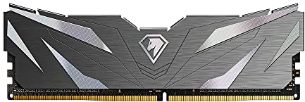 Netac DDR4 2666MHz 16GB Desktop Memory With Heat Sink, Gaming Kit, Black