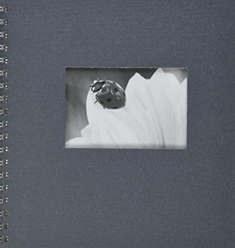Pagna 12156-10 Passepartout-Spiralalbum 240 x 250 mm 50 Seiten, Leineneinband mit Passepartout Fotokarton weiß mit Pergamin, grau