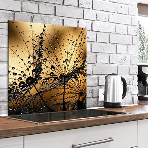 murando Glass Splashback for Kitchen Backsplash Cooker Protector | Tempered Glass Decorative Wall Art Panel Heat Resistant Graphic 60x60 cm / 24x24 Flowers Dandelion Nature