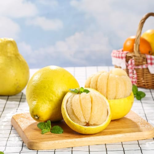 pomelo - pomelosamen anzucht grünpflanzen zimmerpflanzen zimmerpflanzen für sonnige plätze nachhaltige geschenke hochbeet bonsaibaum seltene säulenobstbäume exotische winterfeste 30samen