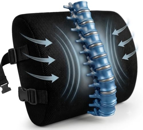 Lumbar Support Pillow for Office Chair & Car | Memory Foam Backrest