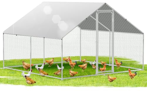 Ikodm Hühnerstall Freilaufgehege XXL 3x3x2m mit Schloss, Tiergehege Verzinkter Stahl Hühnerhaus Freigehege Outdoor Geflügelstall, für Hühnerkäfig Kleintiere