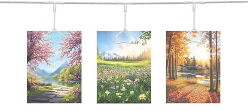 QUARKZMAN Cavo in Acciaio per Appendere al Muro con 12 Clip a Cuore, Cornici per Foto Sospese da 5 Piedi per Decorare La Parete con Collage di Foto per Cartoline Arte Argento