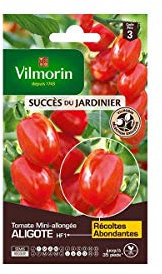Vilmorin - Tomate Aligote HF1