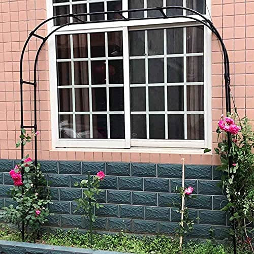 Élégante arche de jardin en fer forgé pour plantes grimpantes, roses, vignes, parfait pour les mariages en plein air, les terrasses, les arrière-cours et les jardins