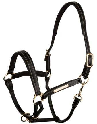 Lederhalfter Landscape