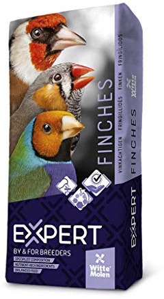 Witte Molen, Expert Basis Tropic Vögel bis 20 Kilo, Mischfutter für Vögel, zur Verwendung als solche oder zur Anreicherung, Basismischung, sparsame Mischung