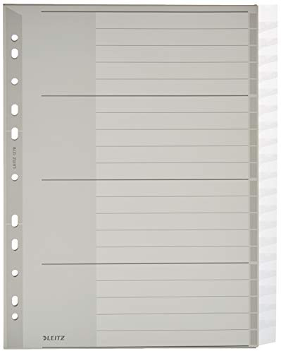 Leitz Register für A4, Deckblatt aus Karton und 20 Trennblätter aus Kunststoff, Taben mit auswechselbaren Einsteckschildchen, Grau, 12780000