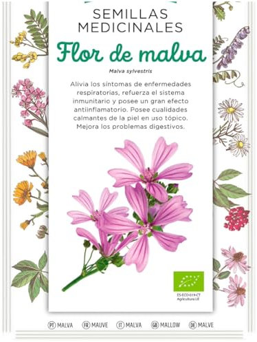 Semillas Medicinales - Flor de malva - Semillas listas para plantar.