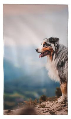 Australian Shepherd Berge Aussie Haustiere Hunde， Strapazierfähiges Waschlappen-Handtuch, Reise-Waschhandtuch, 40 x 70 cm