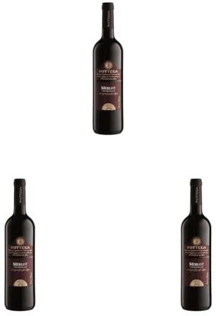 Bottega Merlot Trevenezie IGT Vino Rosso - 750ml (Confezione da 3)