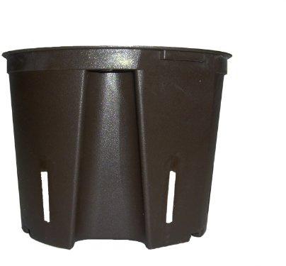 Leni System Kulturtopf Durchmesser 15 cm H 12 cm