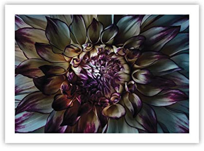 Wandposter Art Prints 70x50cm Poster ohne Rahmen Blätter Agave Blume Küche Wanddeko Bild Wand Kunstdruck Deko Wandbilder Dekoration Wohnzimmer Schlafzimmer Modern Wall Art Decor P2XAA70x50-5122
