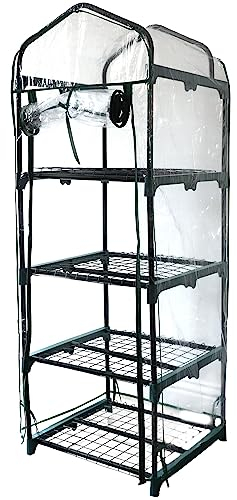 DIVCHI 4 Tier Greenhouse for Indoor & Outdoor Use | Durable Steel Frame | Clear PVC Cover | Ideal for Growing Vegetables, Flowers, Herbs, and Seedlings