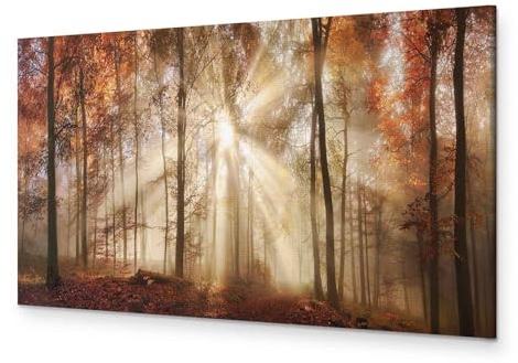 B&D XXL - Akustikbild Wald Bilder Akustikschaum Hochleistungsschallabsorber Schallschutz Leinwand 1 tlg Wandbild Raumakustik Schalldämmung Waldlandschaft Natur Panorama c-B-0187-b-a