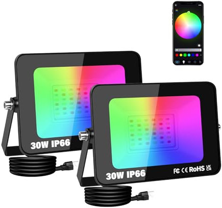 Willpower 2PCS Foco LED RGBW 30W, Proyector LED Exterior con Control de Bluetooth APP, 16 Colores 4 modos, Luz de Inundación RGB para Jardín Terraza Fiestas Halloween Navidad, con Enchufe