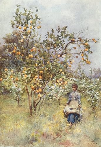 ENYLUFUT Berühmte Gemälde Art Leinwandbilder Drucken Ölgemälde Zitronenbäume Frühling von Alberto Pisa Jahrgang Wandkunst für Schlafzimmer Home Decor 60x90cm