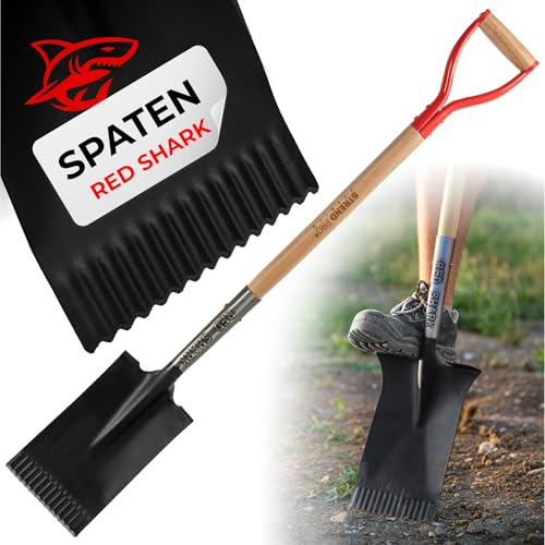 STREND PRO Spaten | Premium RedShark Gärtnerspaten | Eckige mit Holzstiel | D Spatenstiel | Geradespaten für Garten mit Stabiler Stahlkopf |für Harte, steinige Böden|Wurzelspaten Gartengeräte