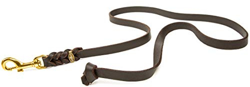 Hundeleine Leder 1m kleine Hunde – Fettlederleine [ohne Handschlaufe] Lederleine Hund geflochten leicht – Führleine & Trainingsleine aus robustem Rindsleder, Messingkarabiner, Dog Leash 8mm, Braun
