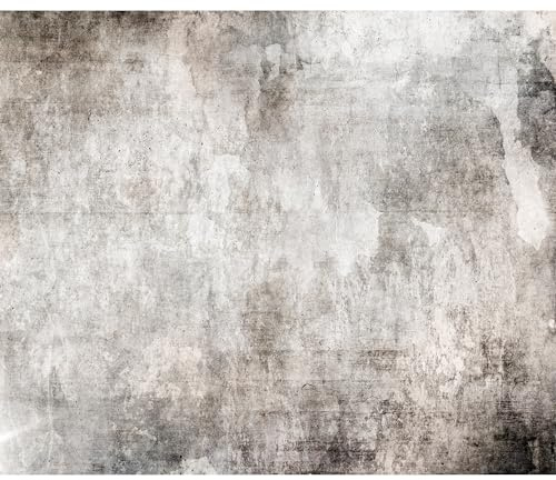 murando - Fototapete Vlies Betonoptik, 400x280 cm, Schlafzimmer, Wohnzimmer | Full HD Druck, 3D-Effekt, lichtbeständige Farben, ideal fürs Wohn- oder Schlafzimmer, schnelle Montage, lichtbeständig, edel