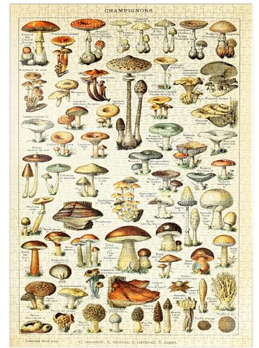 MyPuzzle Champignons - Pilze für Alle, Vintage Art Poster, Adolphe Millot - Premium 1000 Teile Puzzle - MyPuzzle Sonderkollektion von Havana Puzzle Company