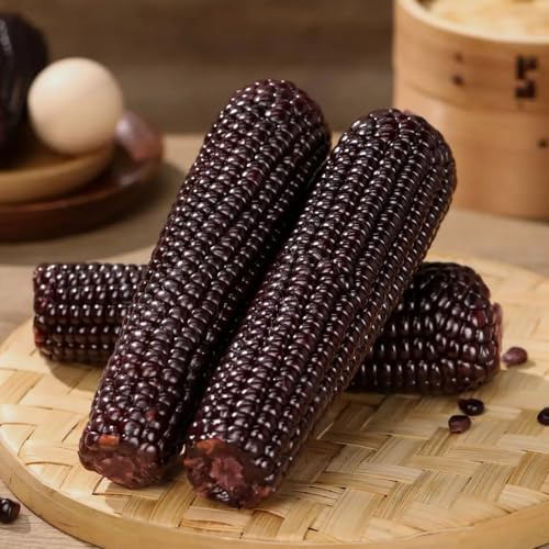 MaisSamen - balkon bio Zuckermais - exotische wintergemüse kaufen gemüsesamen bio alte sorten 100pcs