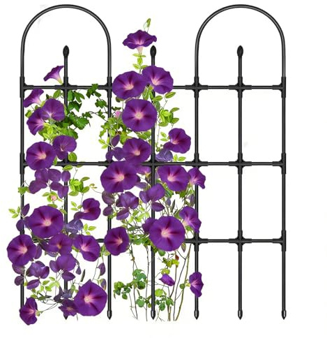 Dubbulon Graticcio Per Piante,Graticcio Metallico Verticale per la Crescita - per Viti Rampicanti,per Giardino Balcone Pomodori Fiori Vite Clematide Cetriolo