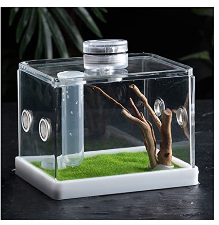 XUEHONG001 Acryl Reptilienzuchtbox, Transparent Reptile Habitat Terrarium Mit Kletternetz, Haustierzuchtfall Für Spinne Singwurm Grille Gottesanbeterin Skorpion Tausendfüßler