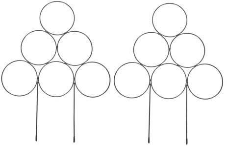 HEMOTON 2pièces Supports pour Plantes Grimpantes Lot de Tiges De Support pour Plantes Fleurs Et Légumes Outils De Jardinage