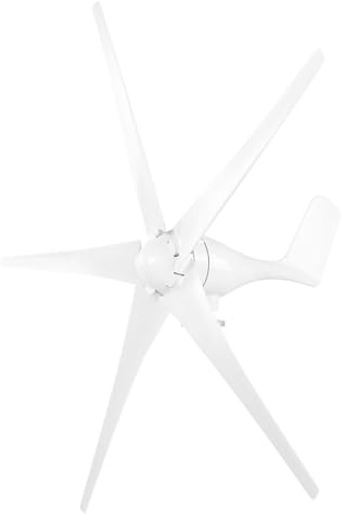 AUNMAS Generatore Eolico, Eoliche a 5 Pale Piccole Alternatore con Rotore a Magneti Permanenti a Basse Vibrazioni 800W per Barche Terrazze Cabine, Facile Installazione, Alto Utilizzo (12V)