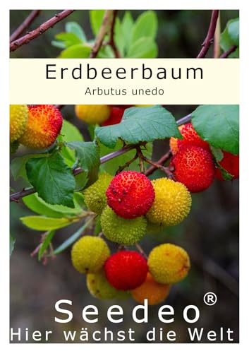 Seedeo® Erdbeerbaum (Arbutus unedo) ca. 100 Samen