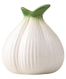 YOPI Ornamenti for vasi piccoli in ceramica a forma di cipolla, for composizioni floreali in soggiorno, fiori idroponici, piante di rose verdi, decorazione da tavolo(Bianca)