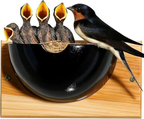 Super Idee Schwalbennest Hotel Schwegler Nistkasten Vogelkasten Nisthilfe Natur für Mehlschwalben aus Massiv-Holz wetterfest Schwalben Nistkasten