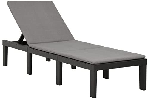 Ziaphsol Sonnenliege Kunststoff Anthrazit mit Auflage, 5-Fach verstellbar, 195x65x32 cm, bequemer Liegestuhl für Garten, Terrasse und Poolbereich, inklusive Polster